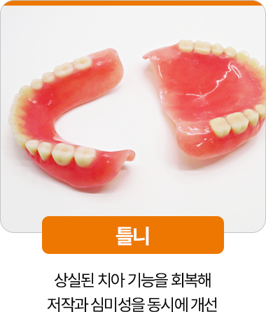 디디치과 틀니 상실 치아 기능 회복